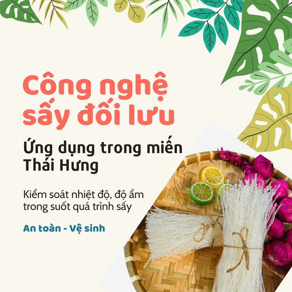 CÔNG NGHỆ SẤY ĐỐI LƯU - ỨNG DỤNG TRONG MIẾN THÁI HƯNG